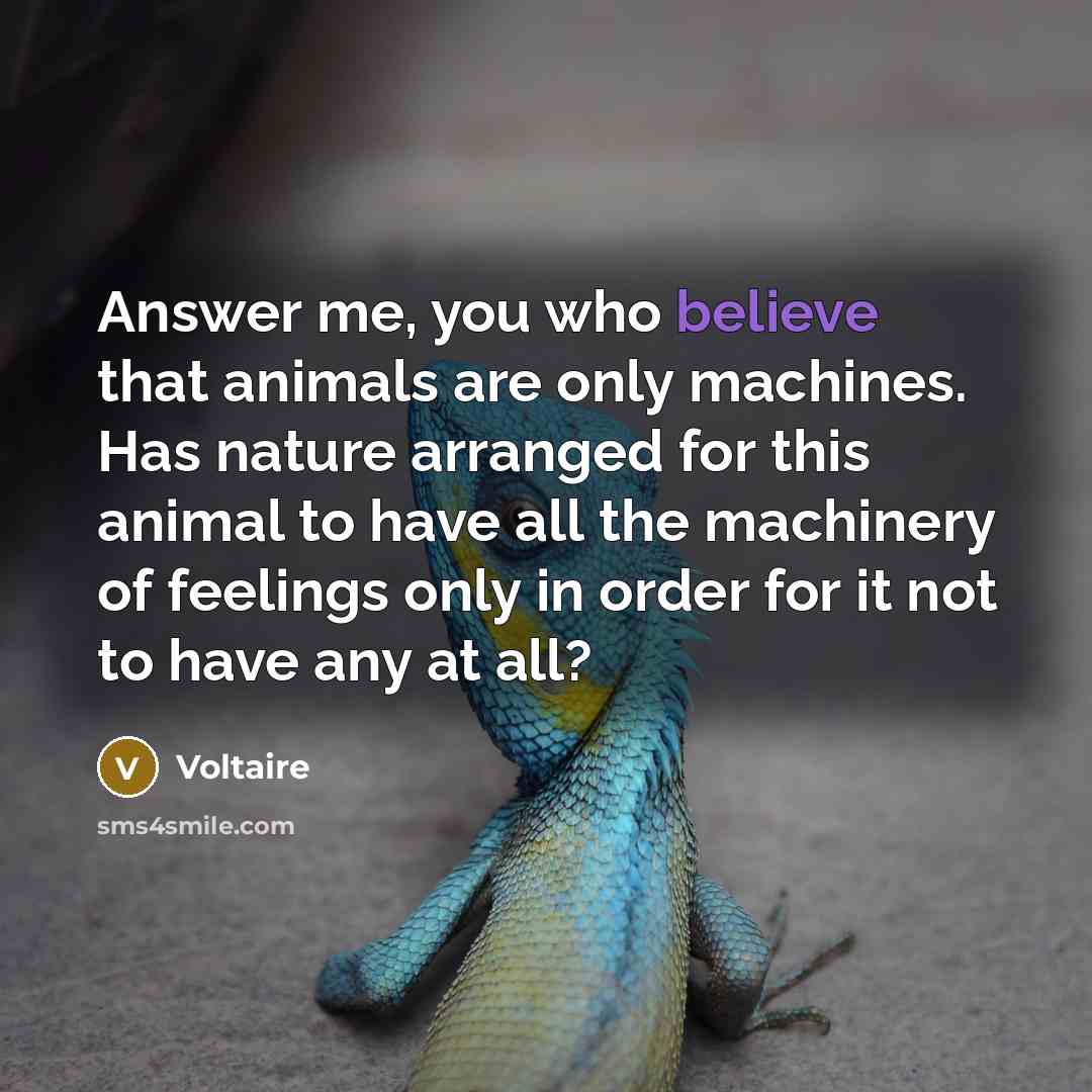 “Answer me, you who believe that animals are only machines.…” quote by Voltaire
