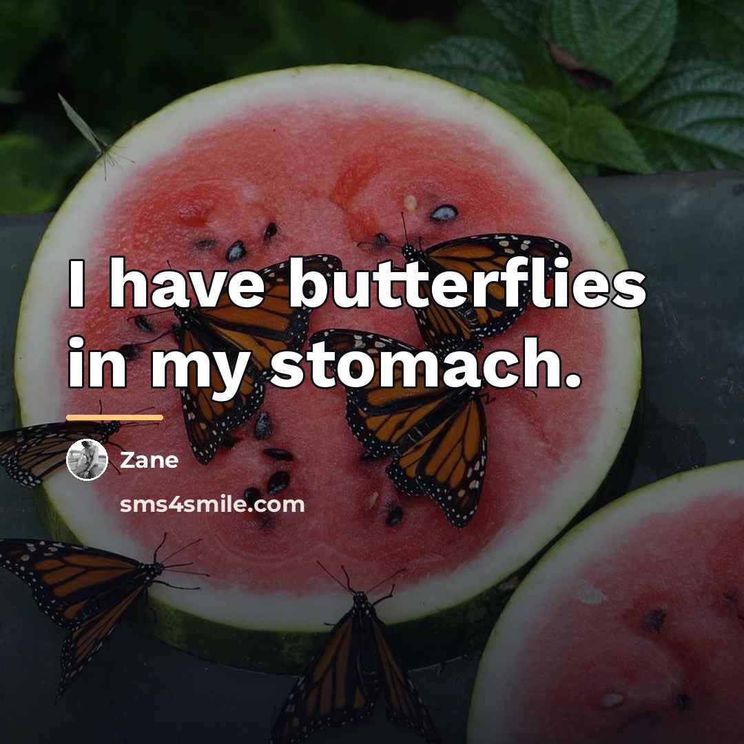 “I have butterflies in my stomach.…” quote by Zane