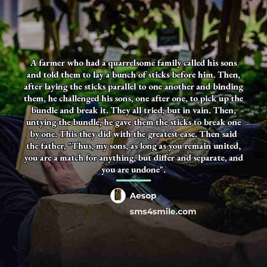 “A farmer who had a quarrelsome family called his sons…” quote by Aesop