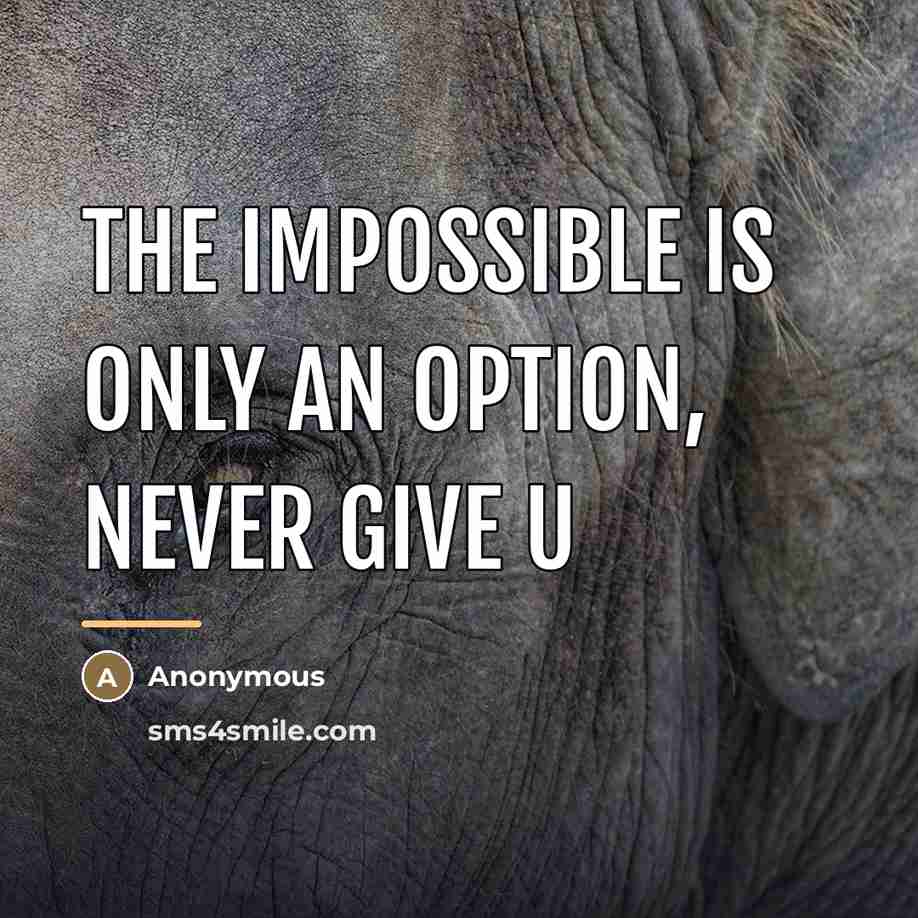 “The impossible is only an option, never give u…” quote by Anonymous