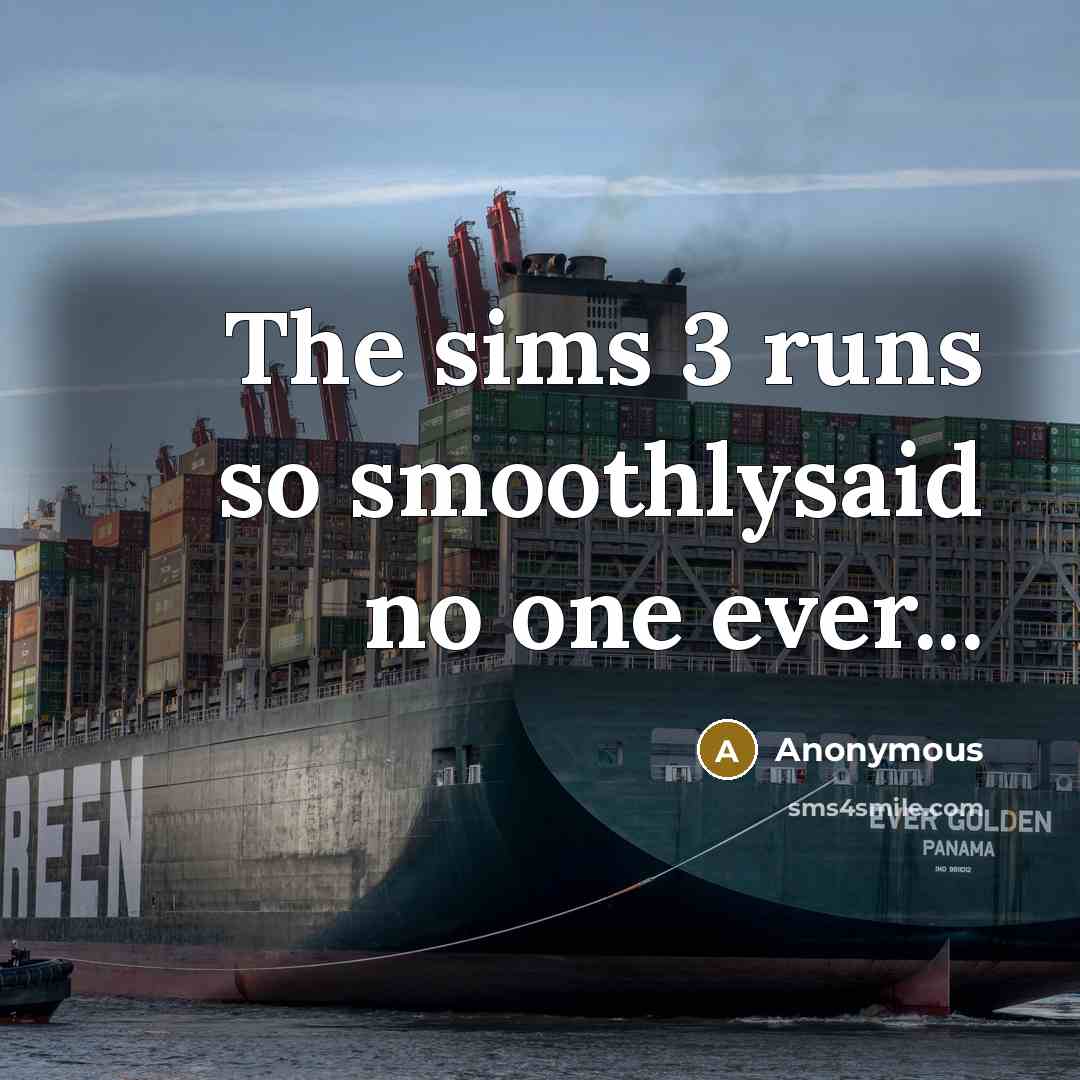 “The sims 3 runs so smoothlysaid no one ever...” quote by Anonymous