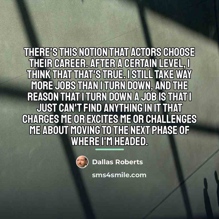 “There's this notion that actors choose their career. After a…” quote by Dallas Roberts