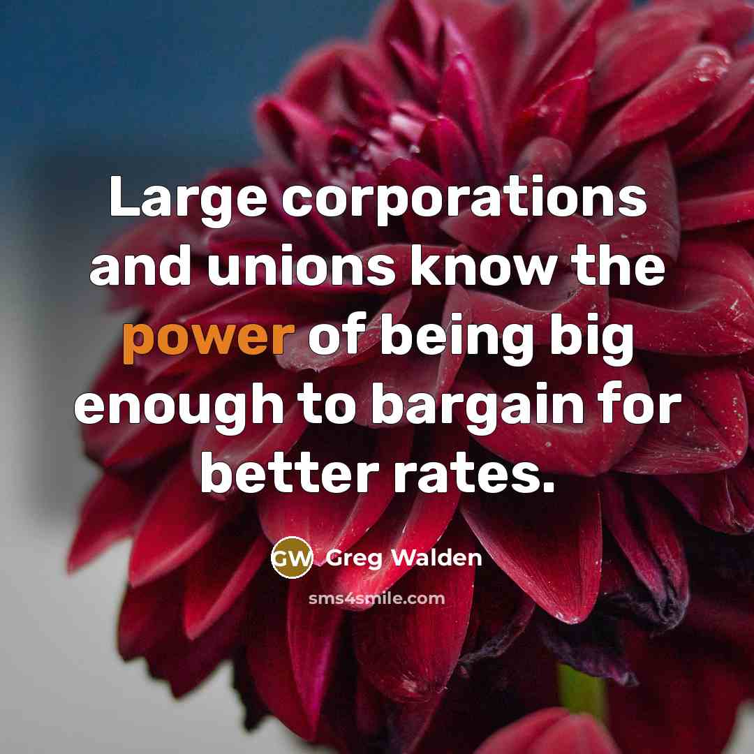 “Large corporations and unions know the power of being big…” quote by Greg Walden