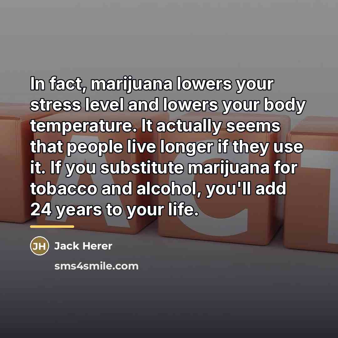 “In fact, marijuana lowers your stress level and lowers your…” quote by Jack Herer