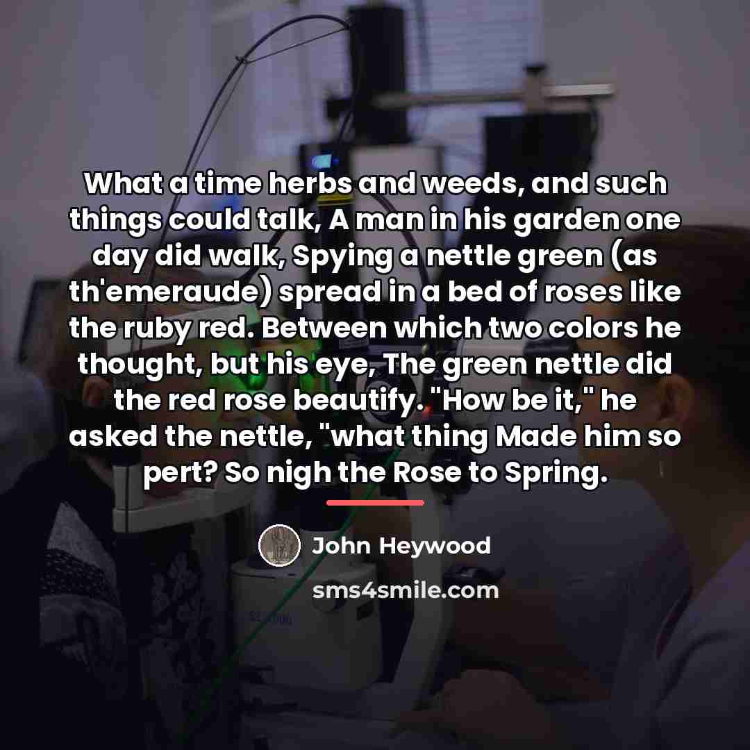 “What a time herbs and weeds, and such things could…” quote by John Heywood