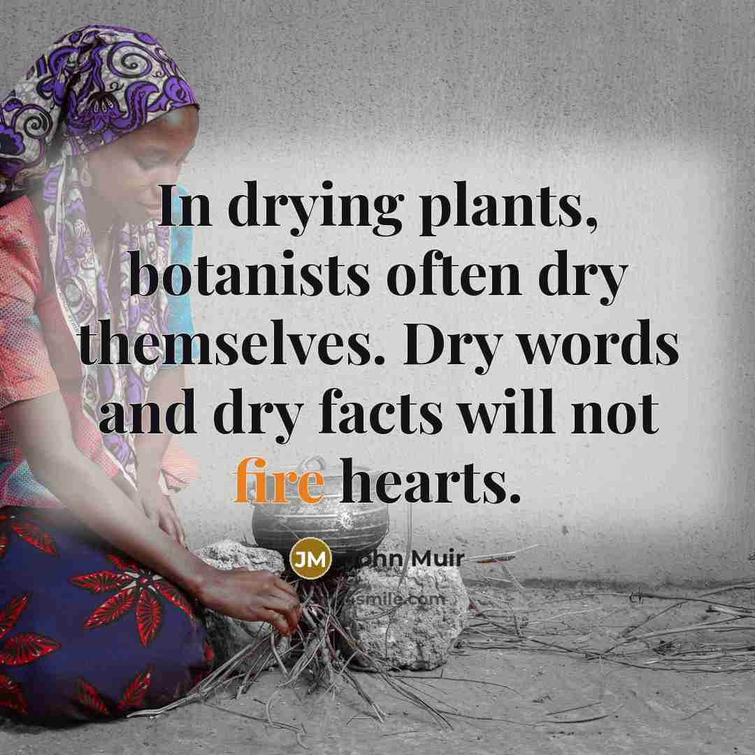 “In drying plants, botanists often dry themselves. Dry words and…” quote by John Muir