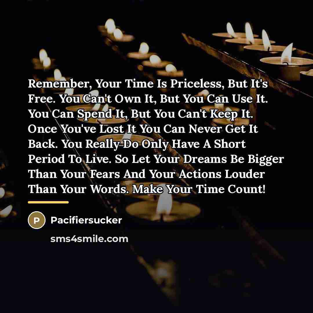 “Remember, Your Time Is Priceless, But It's Free. You Can't…” quote by Pacifiersucker