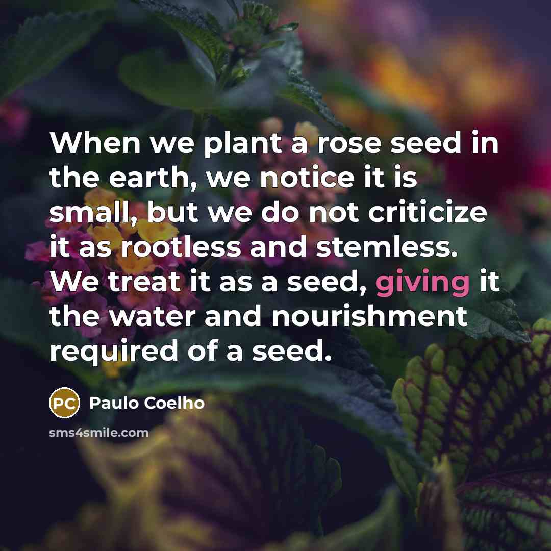 “When we plant a rose seed in the earth, we…” quote by Paulo Coelho