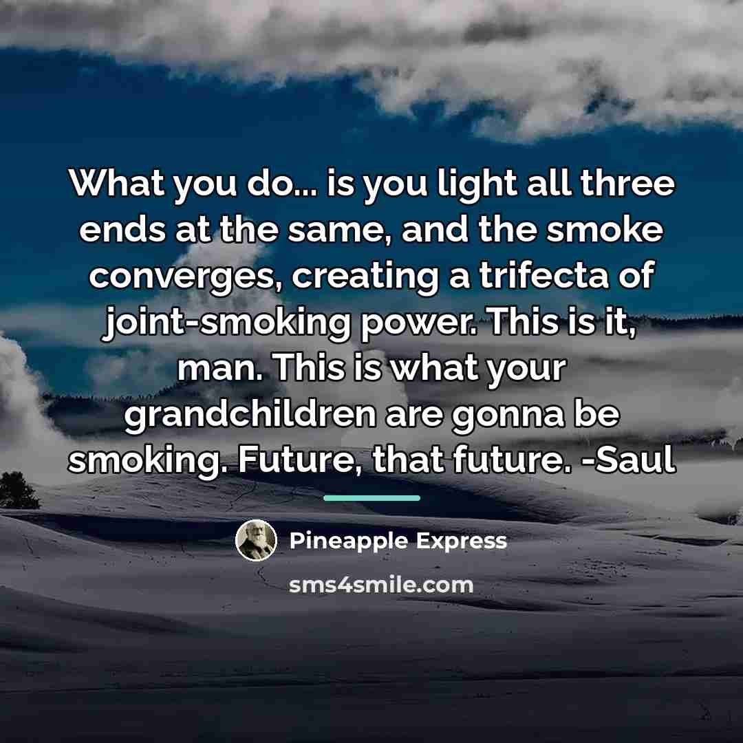 “What you do... is you light all three ends at…” quote by Pineapple Express