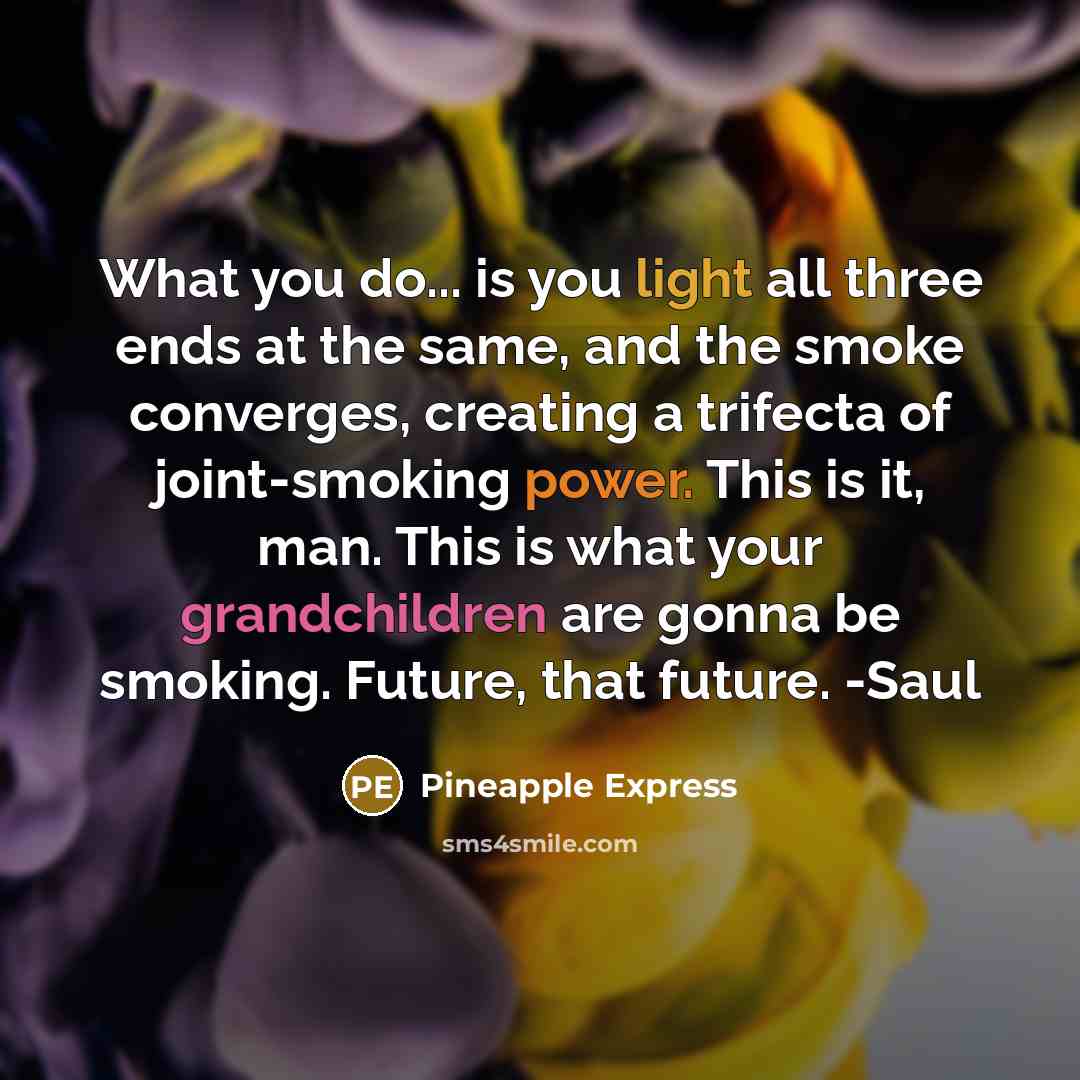 “What you do... is you light all three ends at the same, and the smoke converges, creating a trifecta of joint-smoking power. This is it, man. This is what your grandchildren are gonna be smoking. Future, that future. -Saul” quote by Pineapple Express