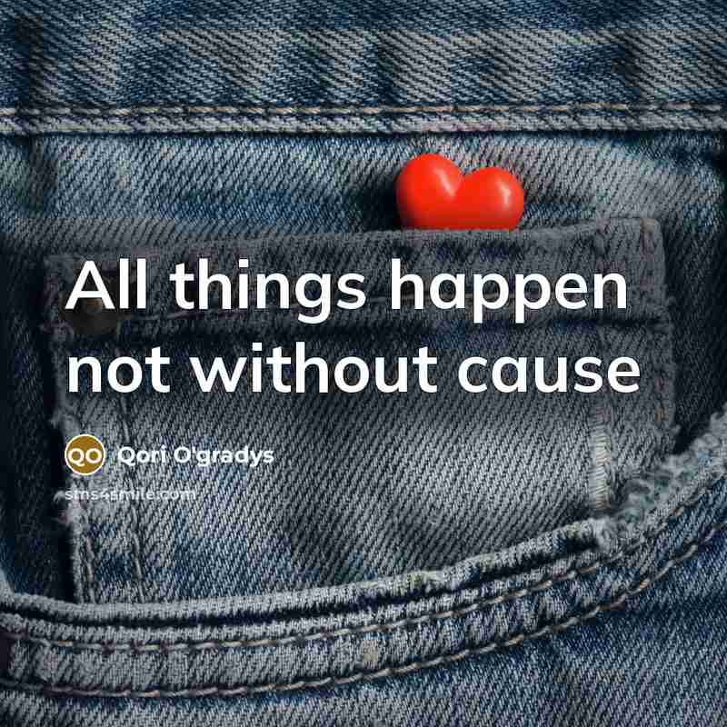 “All things happen not without cause…” quote by Qori O'gradys