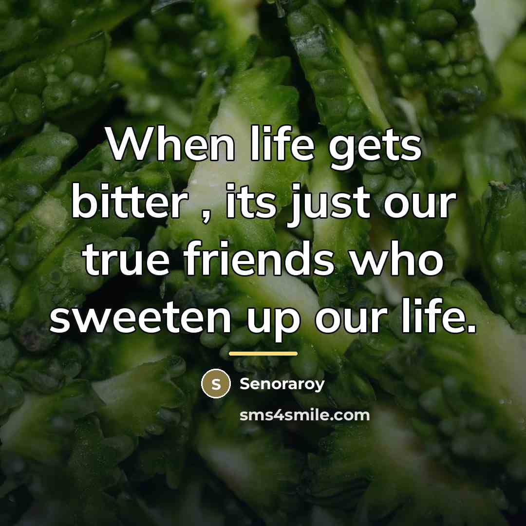 “When life gets bitter , its just our true friends…” quote by Senoraroy