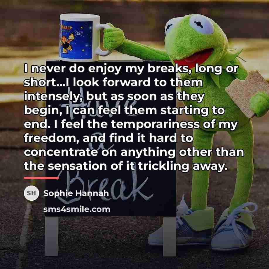 “I never do enjoy my breaks, long or short...I look…” quote by Sophie Hannah