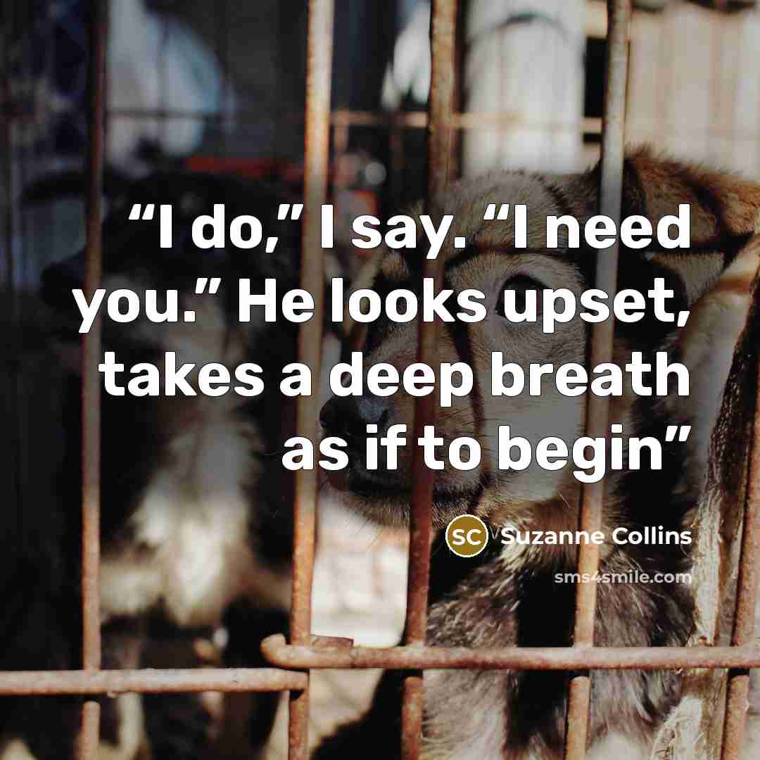 “I do,” I say. “I need you.” He looks upset, takes a deep breath as if to begin” quote by Suzanne Collins