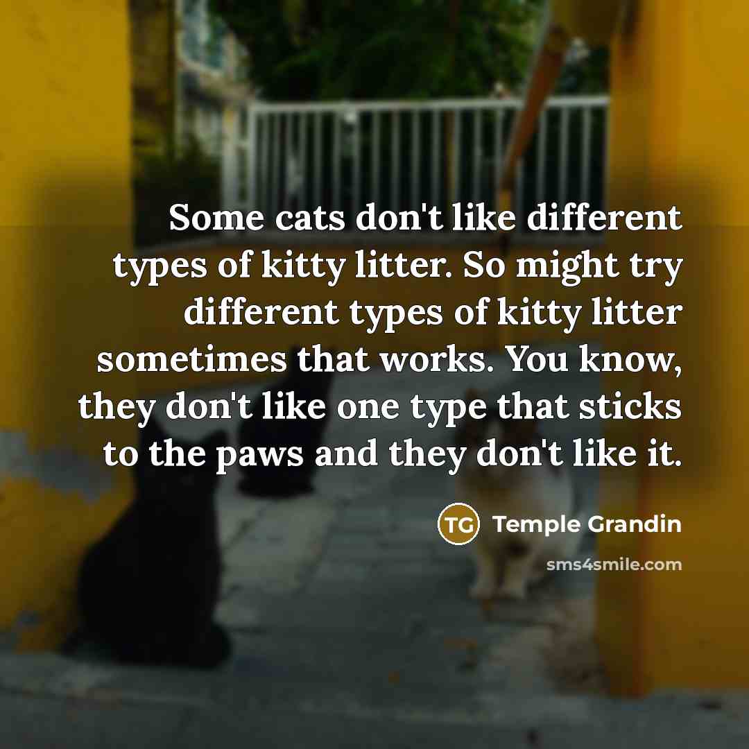 “Some cats don't like different types of kitty litter. So…” quote by Temple Grandin