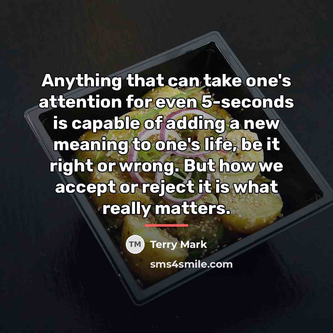 “Anything that can take one's attention for even 5-seconds is…” quote by Terry Mark