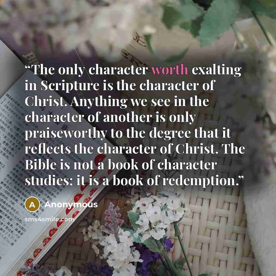 “The only character worth exalting in Scripture is the character of Christ. Anything we see in the character of another is only praiseworthy to the degree that it reflects the character of Christ. The Bible is not a book of character studies; it is a book of redemption.” quote by Anonymous