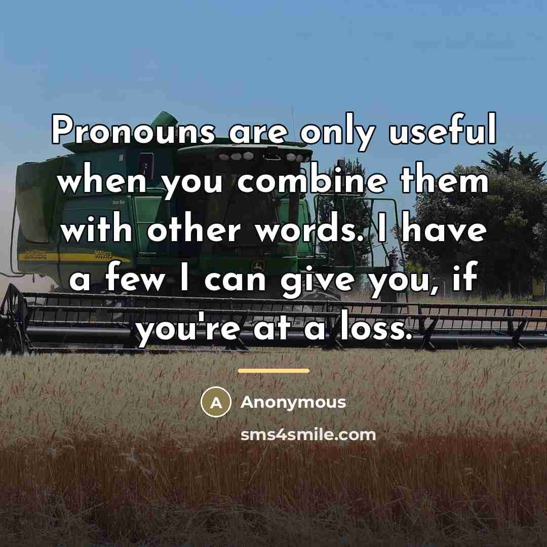 “Pronouns are only useful when you combine them with other…” quote by Anonymous
