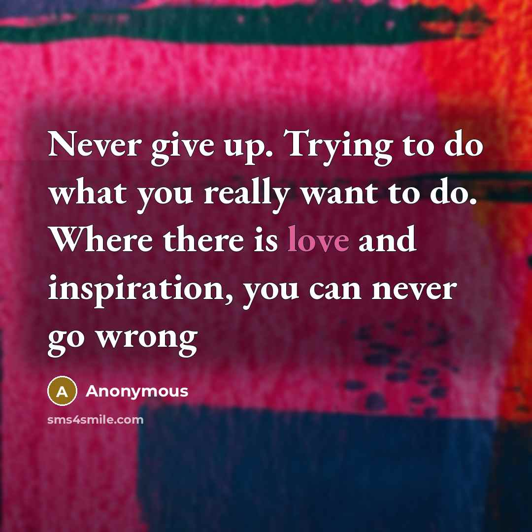 “Never give up. Trying to do what you really want…” quote by Anonymous