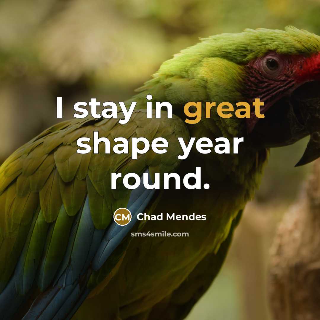 “I stay in great shape year round.…” quote by Chad Mendes