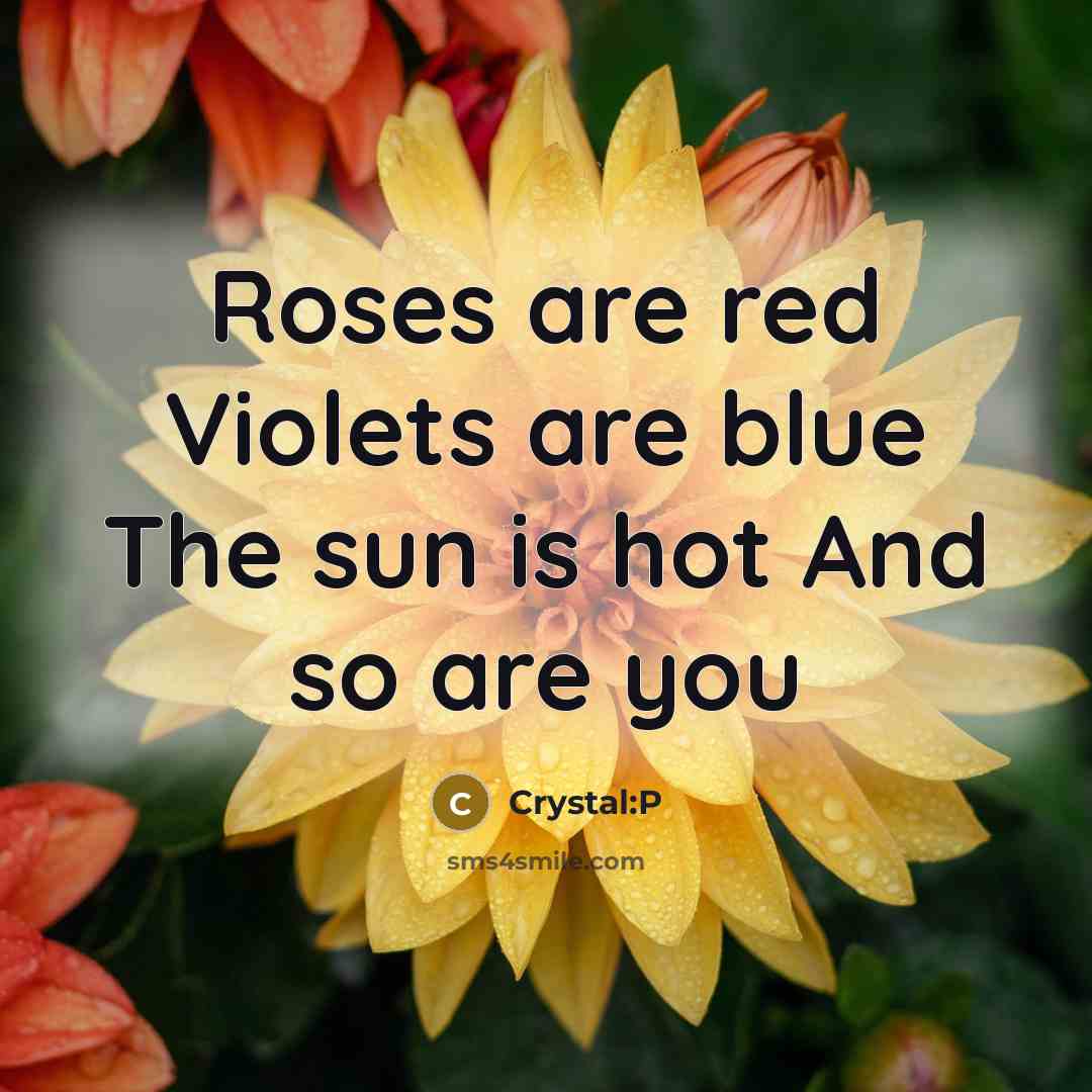 “Roses are red Violets are blue The sun is hot…” quote by Crystal:P