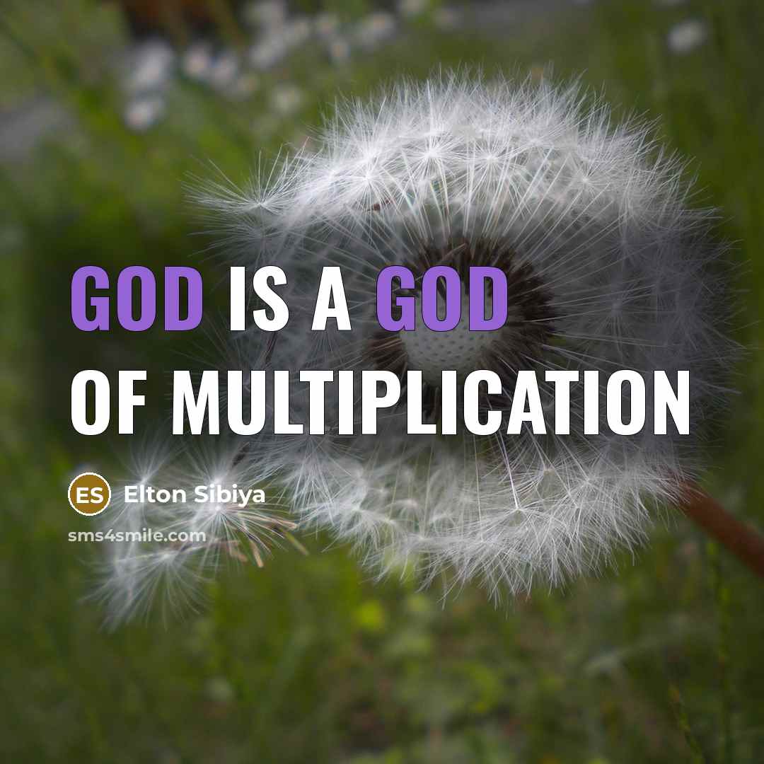 “God is a God of Multiplication…” quote by Elton Sibiya