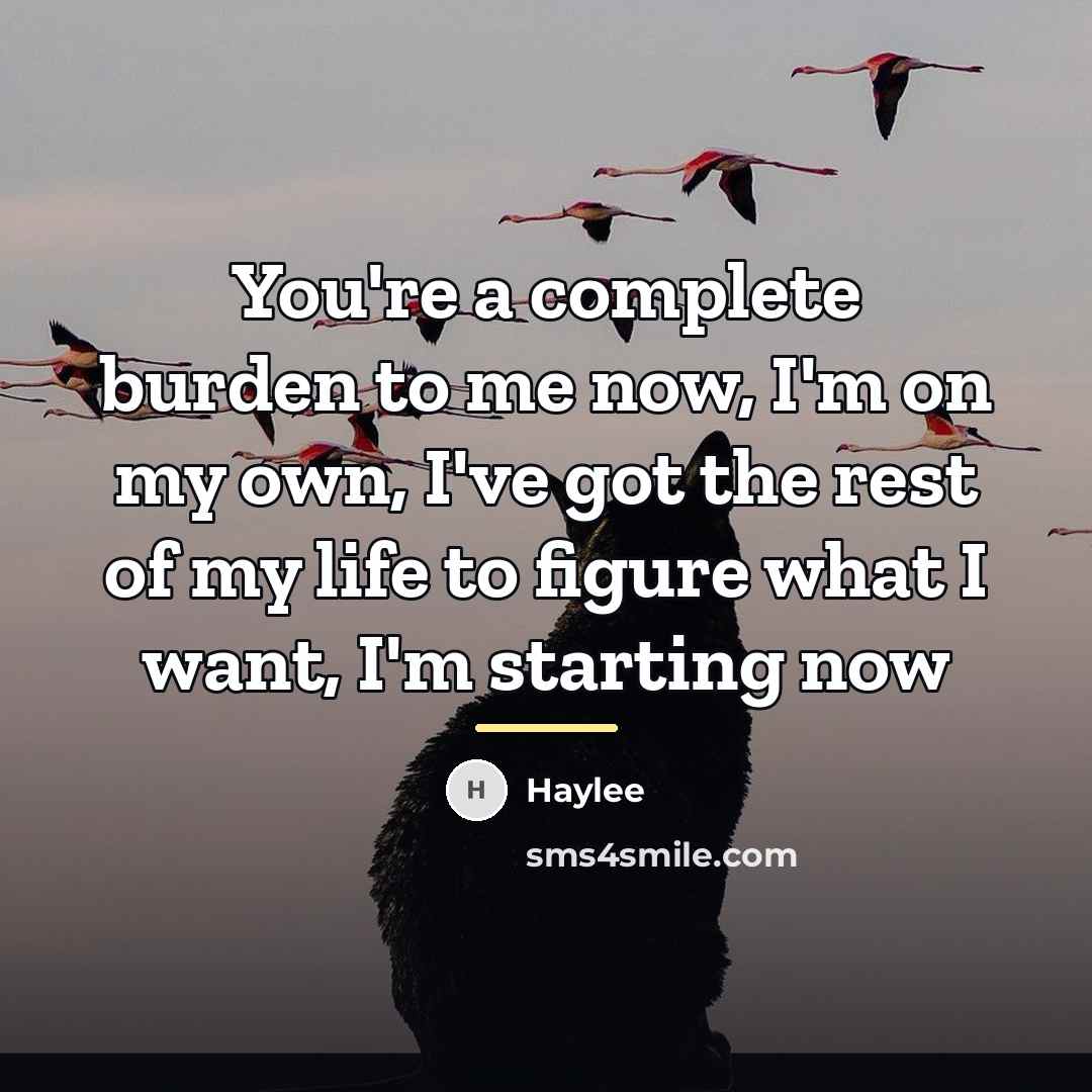 “You're a complete burden to me now, I'm on my…” quote by Haylee