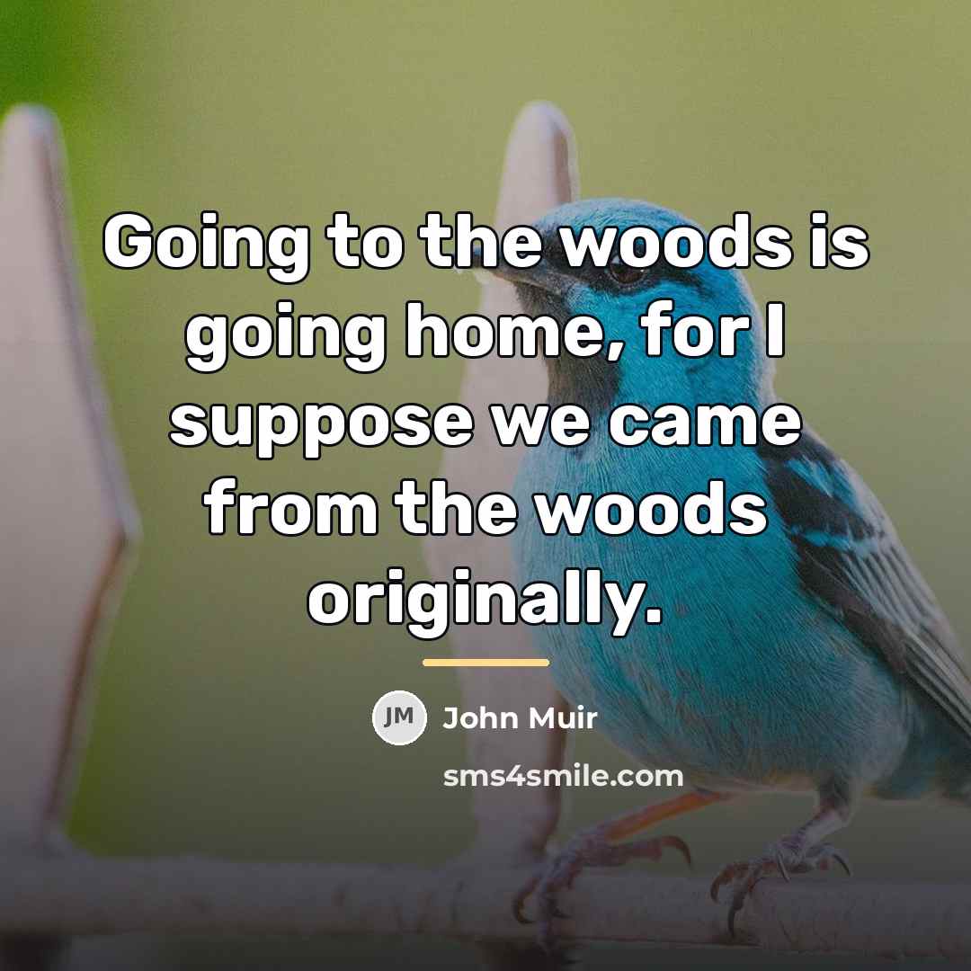“Going to the woods is going home, for I suppose…” quote by John Muir
