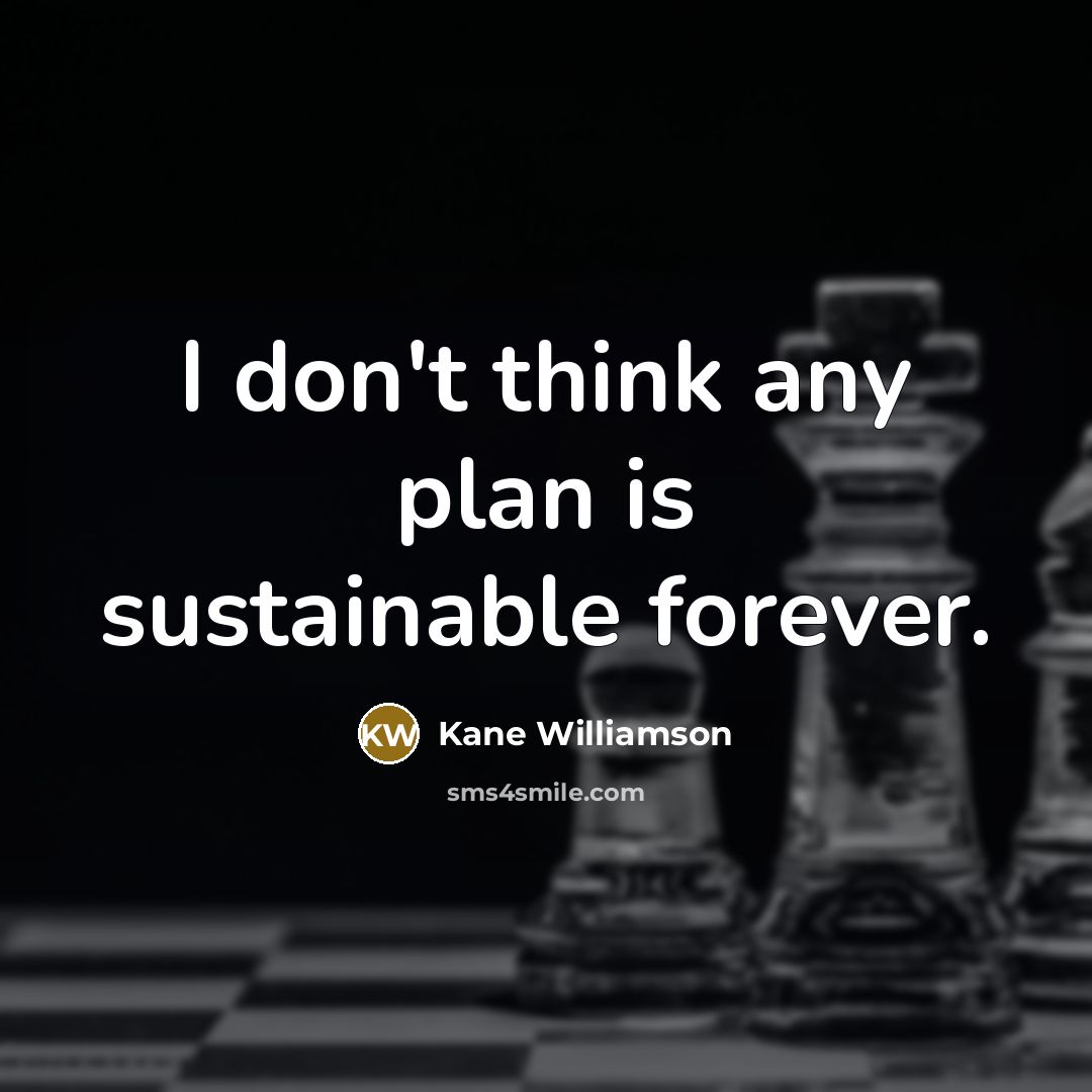“I don't think any plan is sustainable forever.…” quote by Kane Williamson