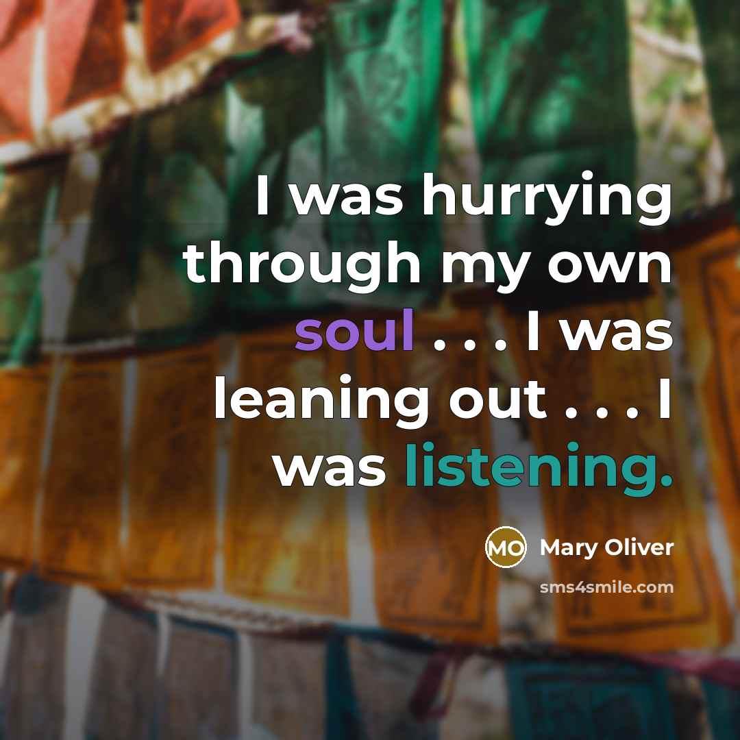 “I was hurrying through my own soul . . .…” quote by Mary Oliver
