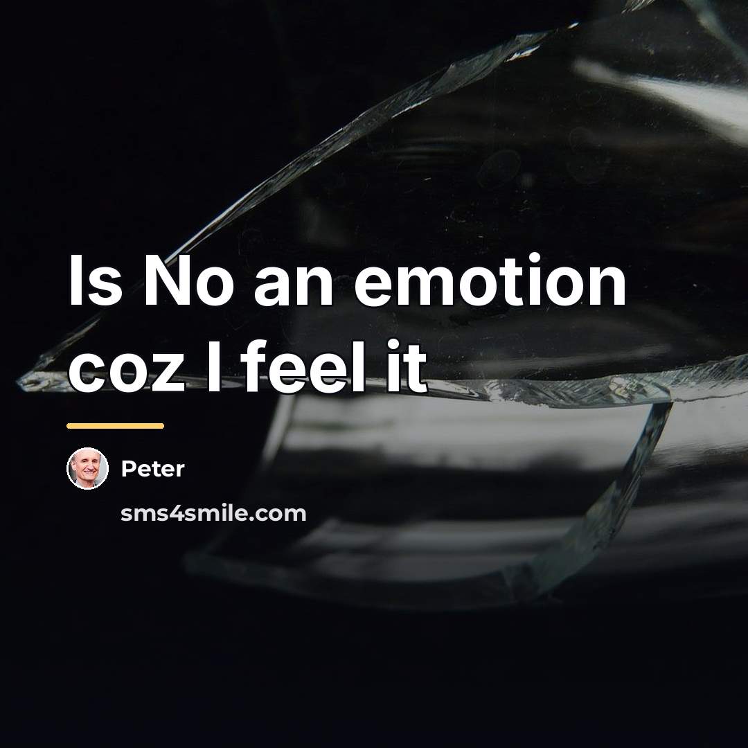 “Is No an emotion coz I feel it…” quote by Peter
