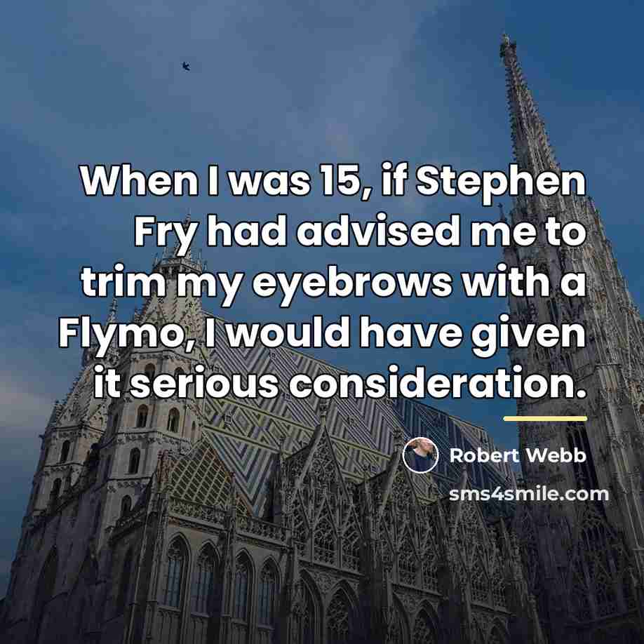 “When I was 15, if Stephen Fry had advised me…” quote by Robert Webb