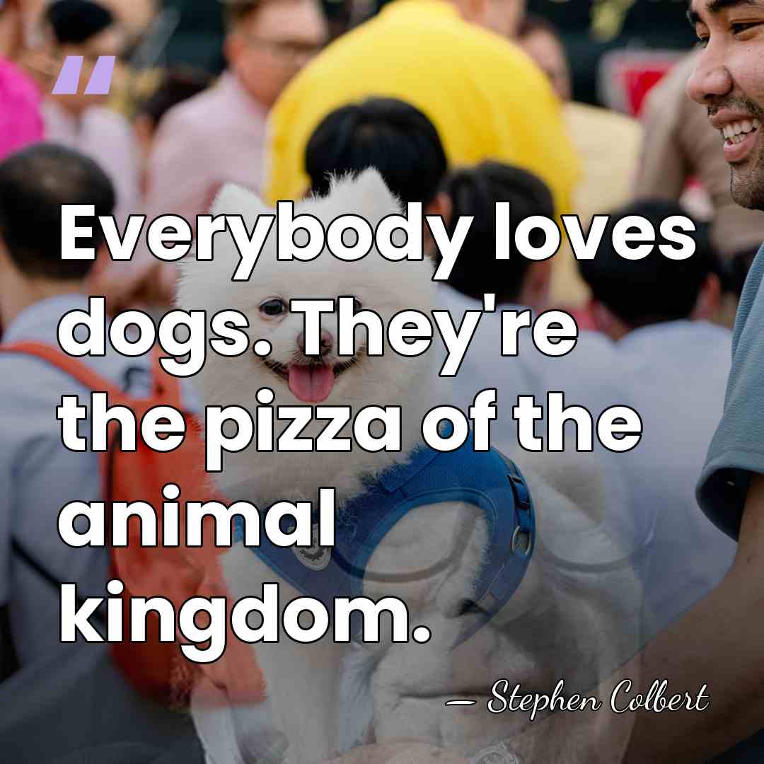 Everybody loves dogs. They're the pizza of the animal kingdom. - Stephen Colbert