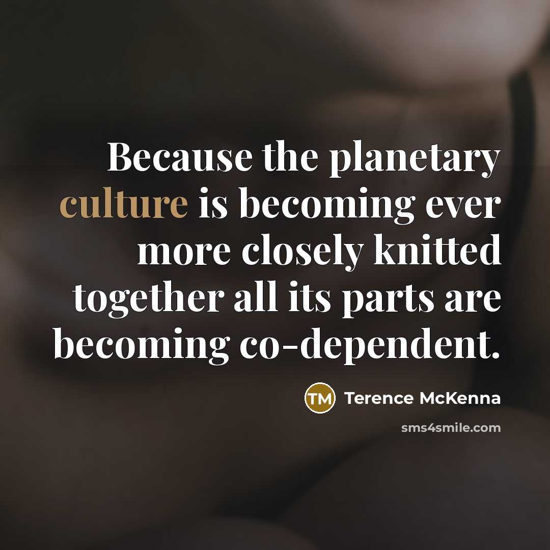 “Because the planetary culture is becoming ever more closely knitted…” quote by Terence McKenna