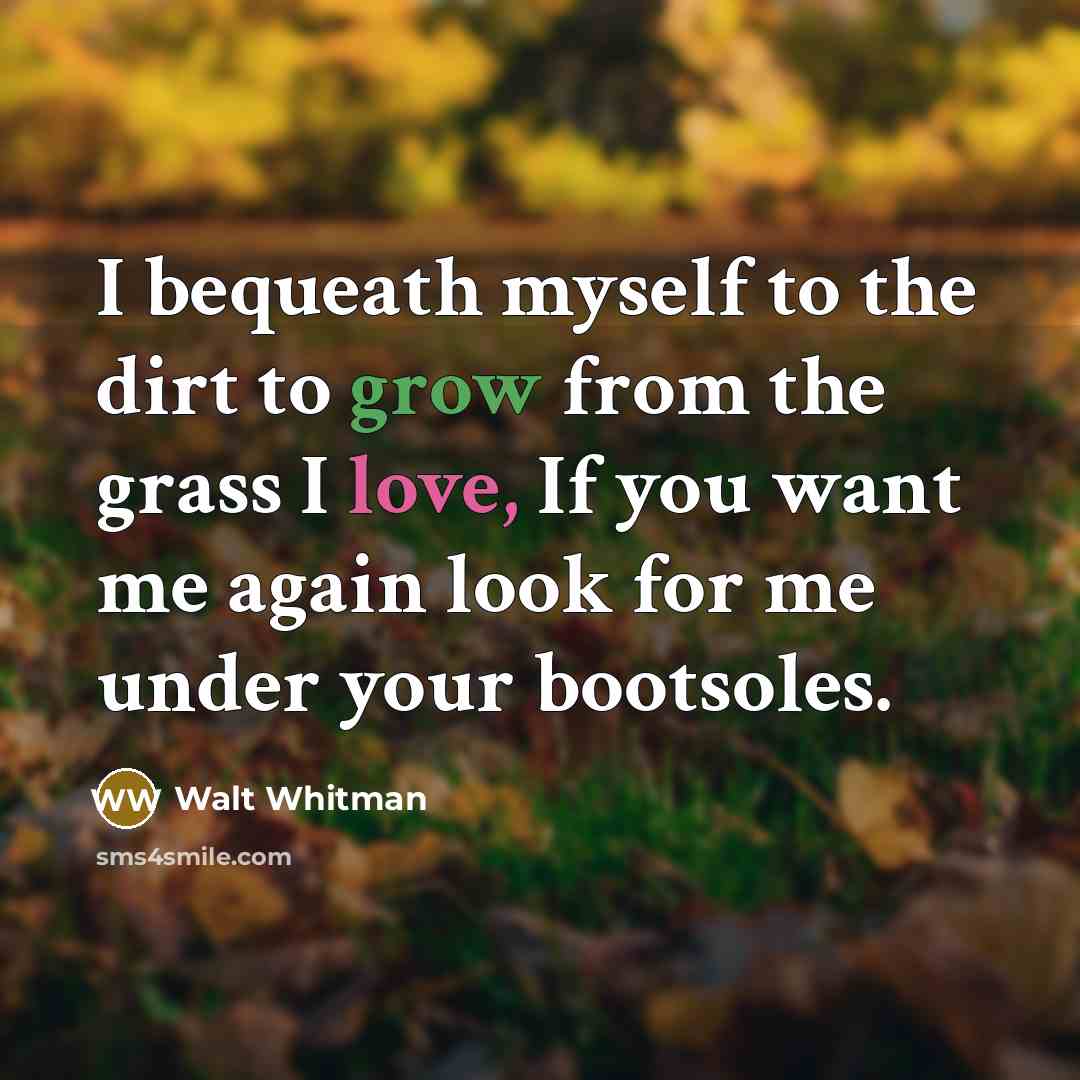 “I bequeath myself to the dirt to grow from the…” quote by Walt Whitman