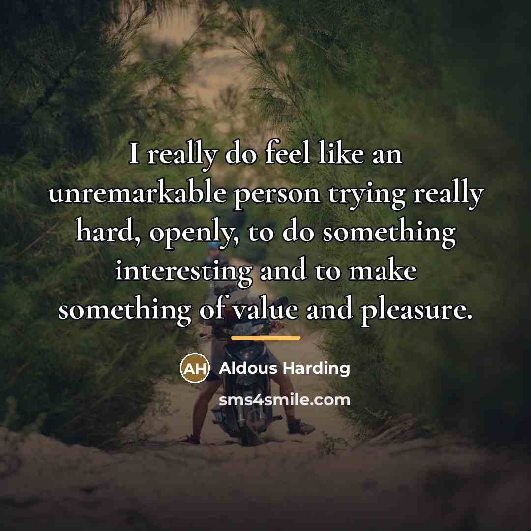 “I really do feel like an unremarkable person trying really…” quote by Aldous Harding