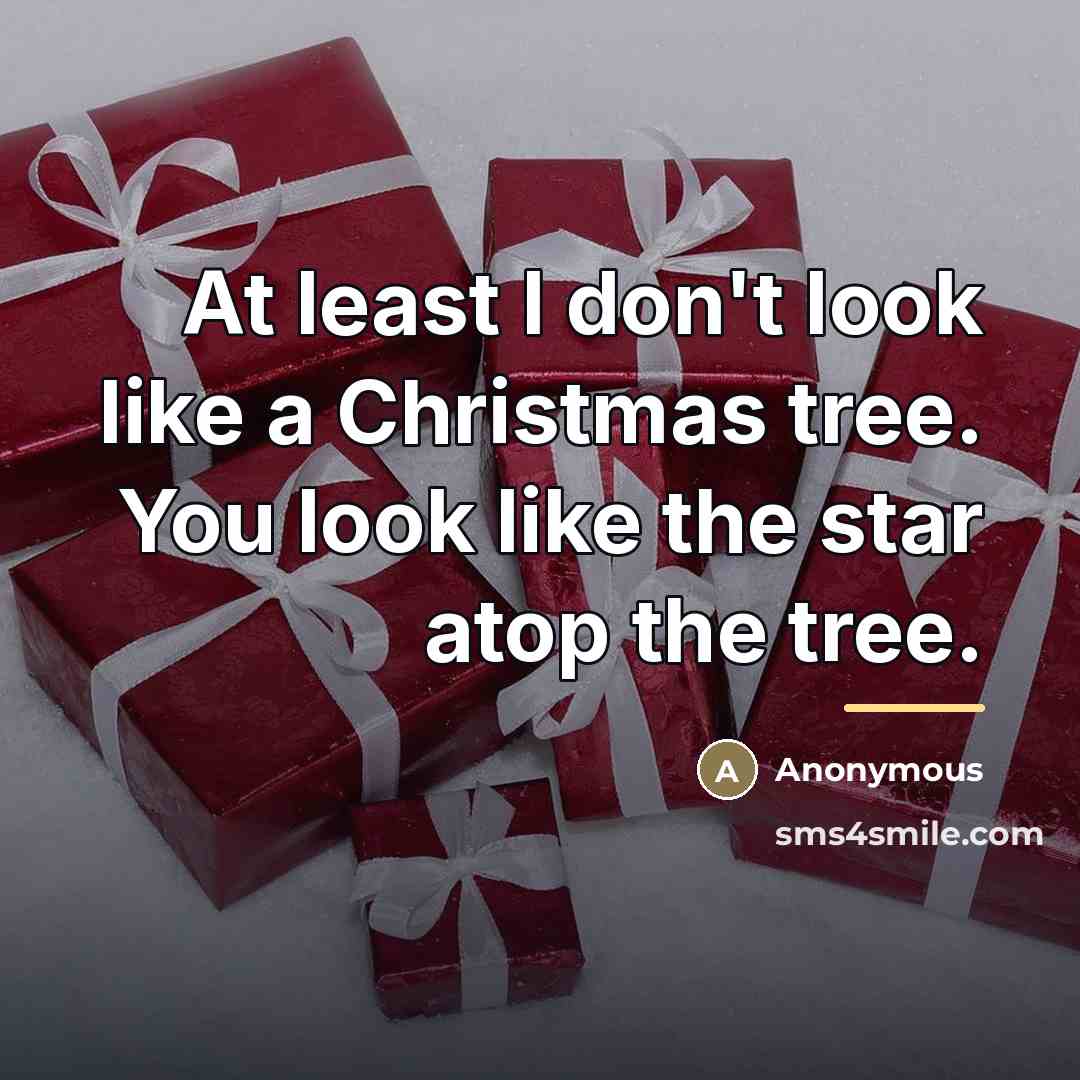 “At least I don't look like a Christmas tree. You…” quote by Anonymous