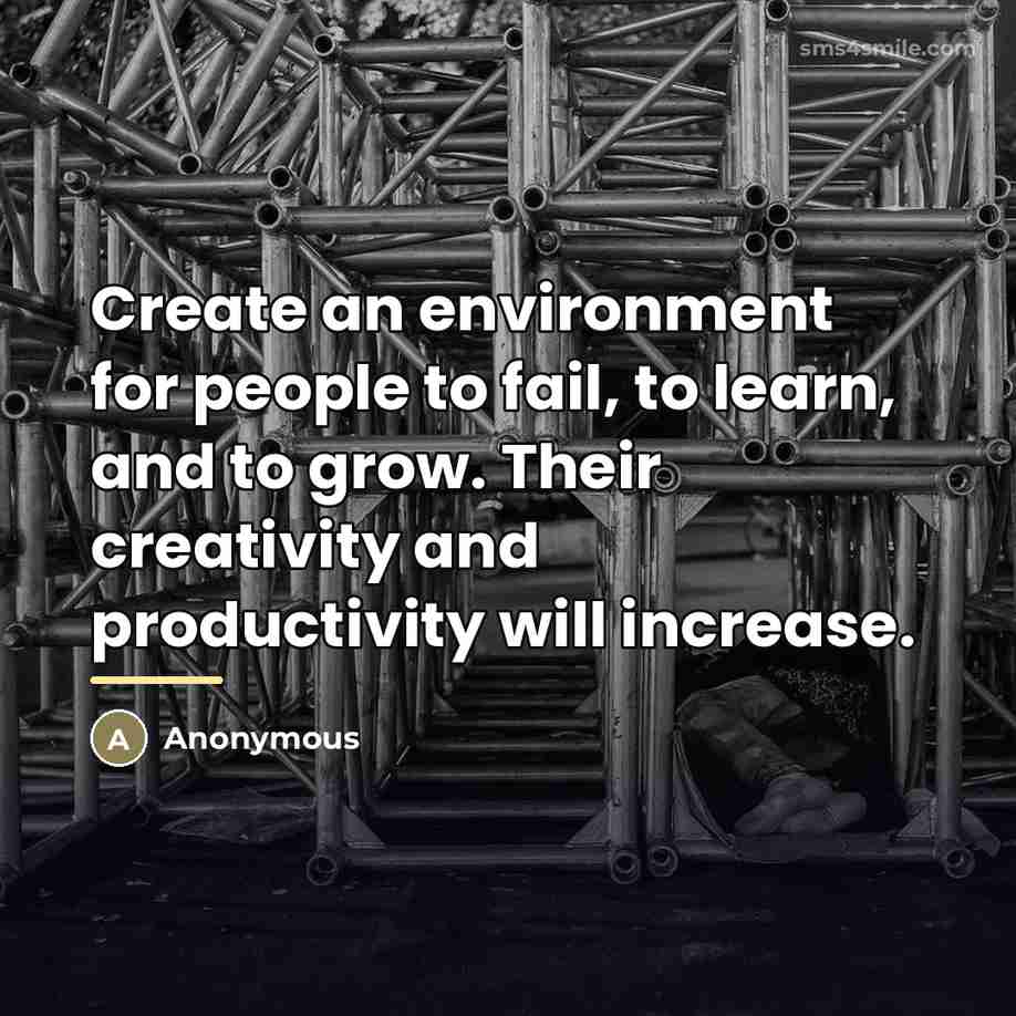 “Create an environment for people to fail, to learn, and…” quote by Anonymous