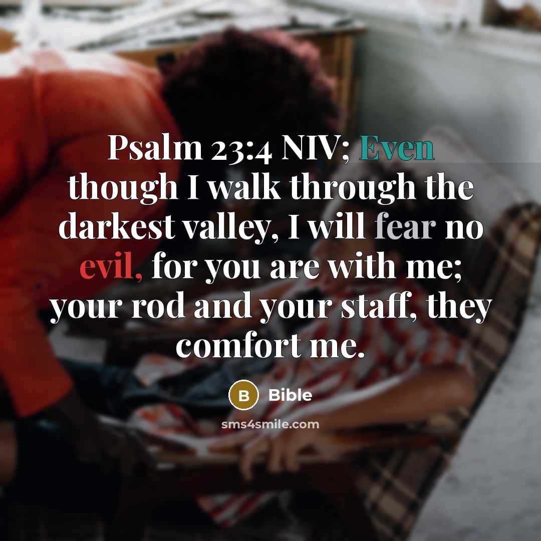 “Psalm 23:4 NIV; Even though I walk through the darkest…” quote by Bible