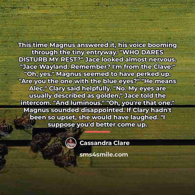 “This time Magnus answered it, his voice booming through the…” quote by Cassandra Clare