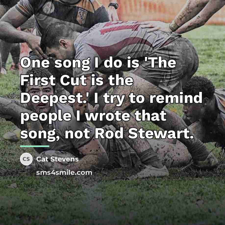 “One song I do is 'The First Cut is the…” quote by Cat Stevens