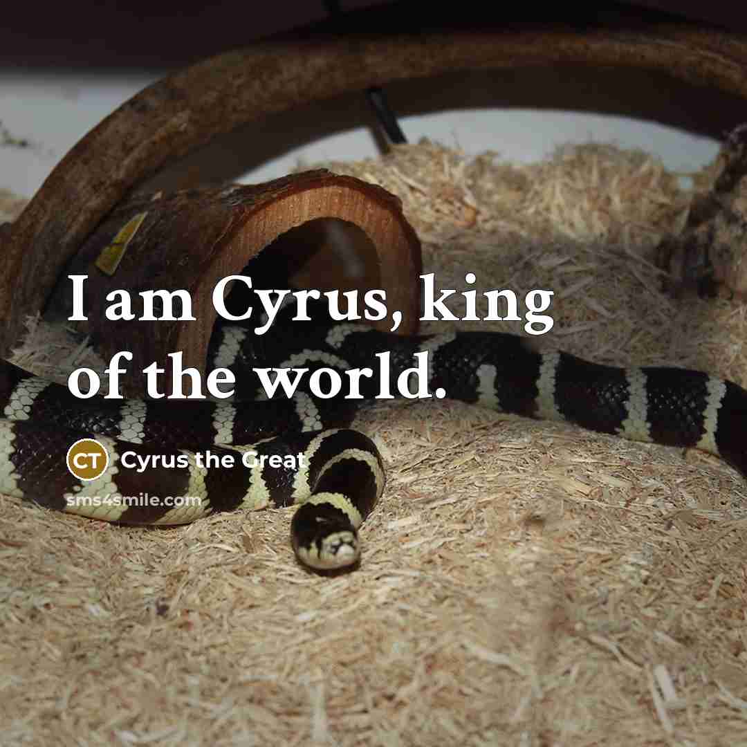 “I am Cyrus, king of the world.” quote by Cyrus the Great