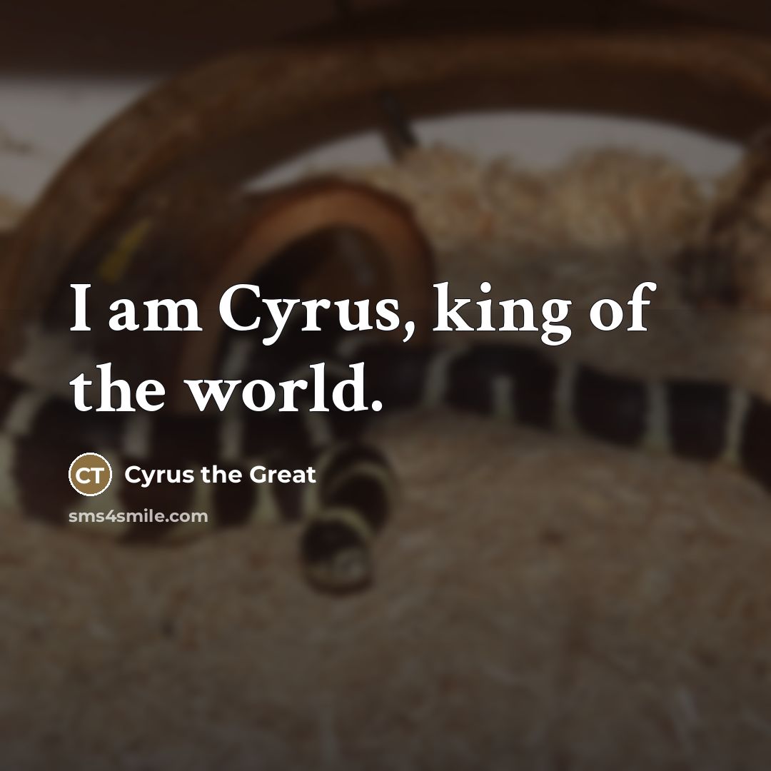 “I am Cyrus, king of the world.…” quote by Cyrus the Great