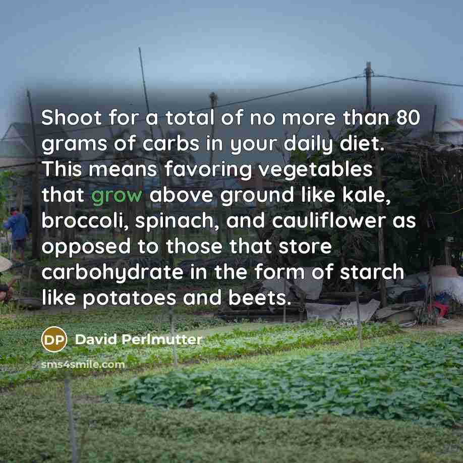 “Shoot for a total of no more than 80 grams…” quote by David Perlmutter