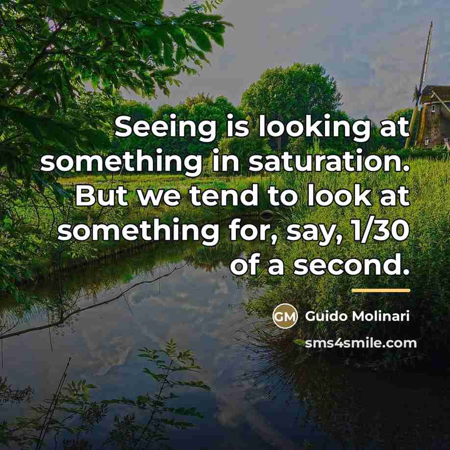 “Seeing is looking at something in saturation. But we tend…” quote by Guido Molinari