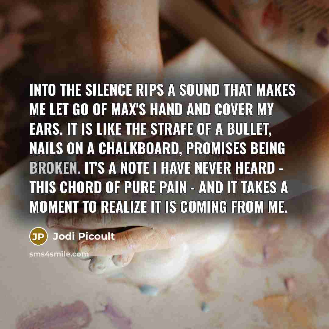 “Into the silence rips a sound that makes me let…” quote by Jodi Picoult