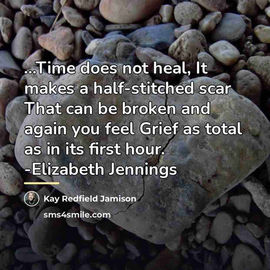 “...Time does not heal, It makes a half-stitched scar That…” quote by Kay Redfield Jamison