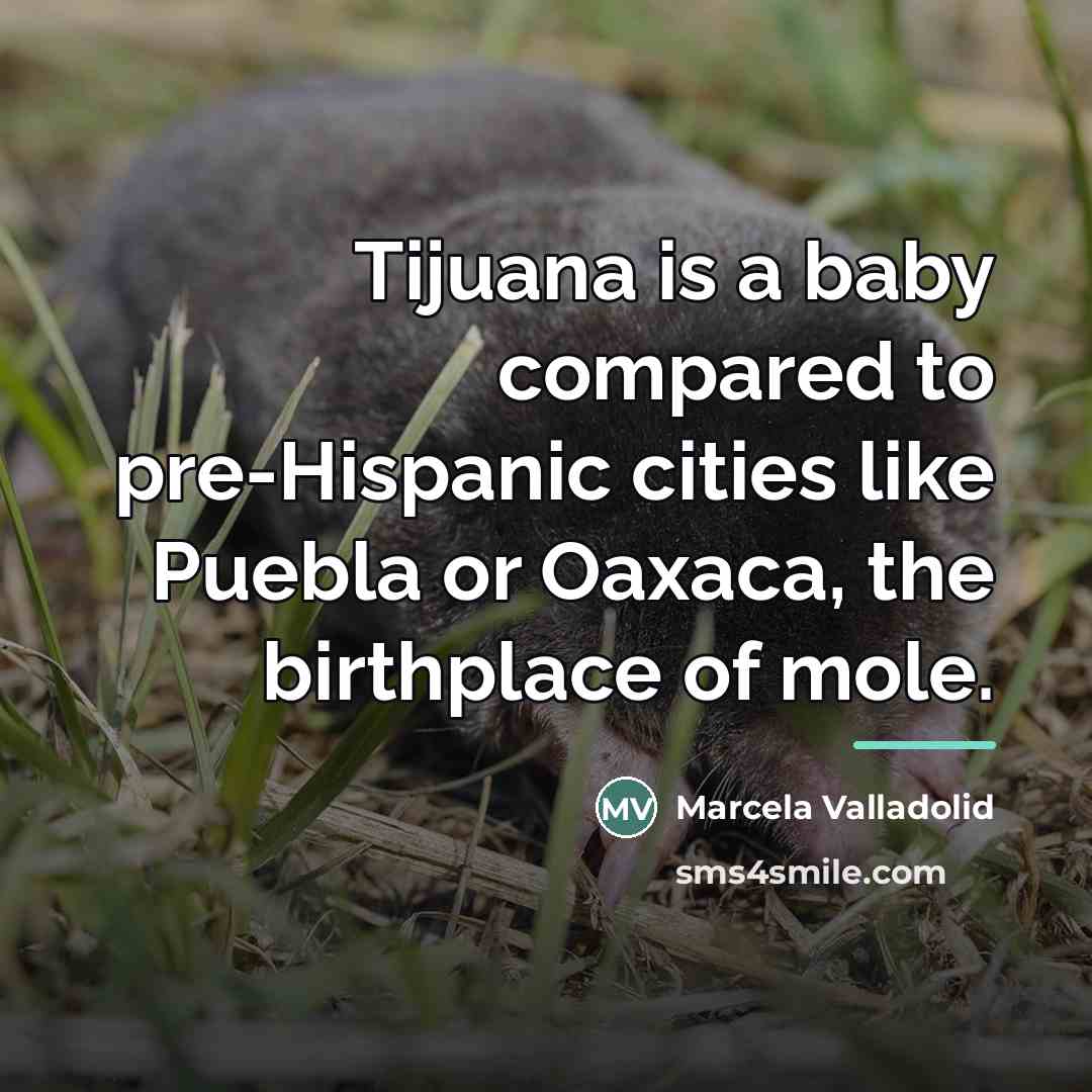“Tijuana is a baby compared to pre-Hispanic cities like Puebla…” quote by Marcela Valladolid