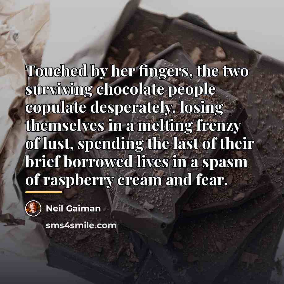 “Touched by her fingers, the two surviving chocolate people copulate…” quote by Neil Gaiman