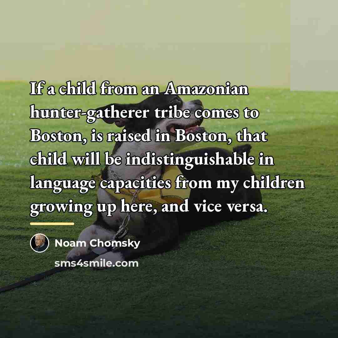 “If a child from an Amazonian hunter-gatherer tribe comes to…” quote by Noam Chomsky
